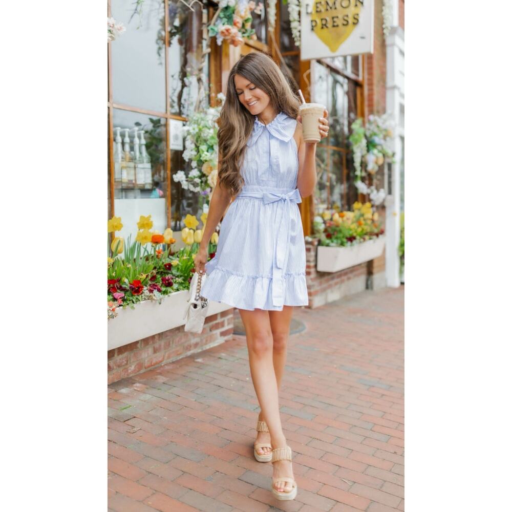 Caitlin M Covincton x Pink Lily Brant Point Blue Stripe Collared Open Back Dress